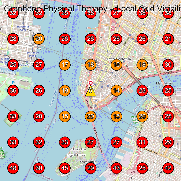 Graphene Physical Therapy GeoGrid visibility map for Chiropractor in New York